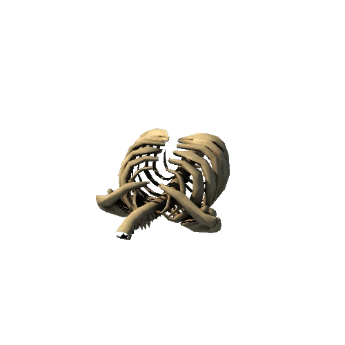 Skeleton_bone_01 Variant